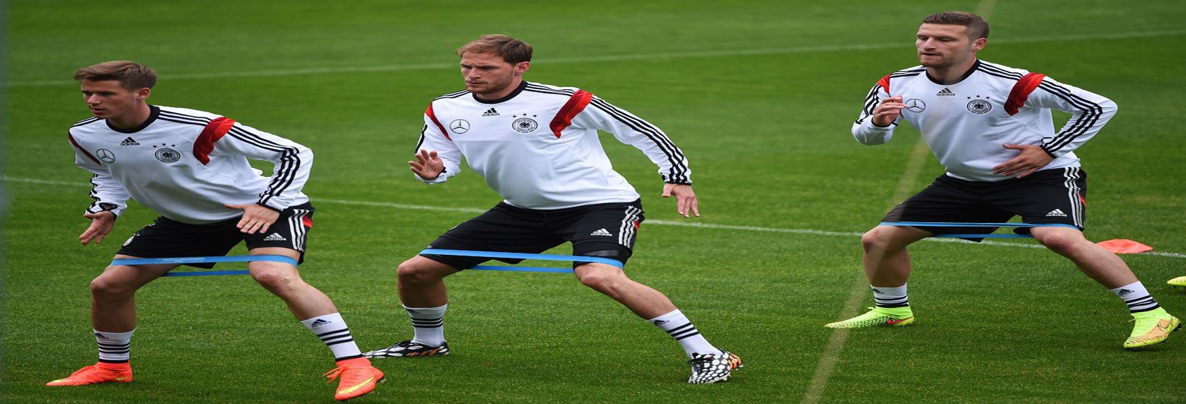 Metodólogo do Treino